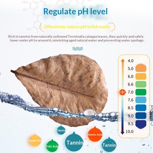 Acondicionador <span class=keywords><strong>de</strong></span> <span class=keywords><strong>Agua</strong></span> Antibacteriano con Hojas <span class=keywords><strong>de</strong></span> Almendro Indio para Reducir el PH, para la Cría <span class=keywords><strong>de</strong></span> Color en Arowana, Betta y <span class=keywords><strong>Tortugas</strong></span> <span class=keywords><strong>de</strong></span> 15-25cm - Product Image 1