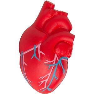 Hot Sales Anatomic Hearts with Veins Pu Stress Relievers Stress Toy Stress <b>Ball</b> - Product Image 4
