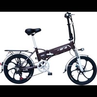 20 pouces 24/36V/48V 250w350W moteur de moyeu à engrenages sans balais moteur de moyeu de roue de vélo électrique avec roue avant