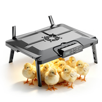 Chauffe-poussins WONEGG 2026 à angle réglable pour différentes étapes de croissance