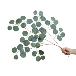 Hojas de eucalipto artificiales Greenway, PVC gris, planta completa, arreglos florales decorativos para días festivos y festivales - Product Image 5