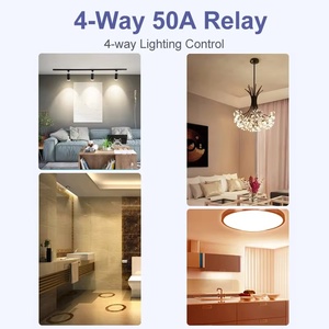 16CH Relay chuyển đổi mô-đun tuya wifi thông minh điều khiển từ xa thiết bị điều khiển mô-đun 110V-240V 50A làm việc với Alexa Google nhà - Product Image 4