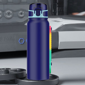 Eco-friendly Custom 600ml New Design Style Deep Blue Insulated Stainless Steel Water <b>Bottle</b> With <b>Straw</b> - Product Image 4