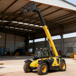 Carretilla elevadora telescópica rentable que se adapta a los requisitos de presupuesto de pequeñas empresas - Product Image 1