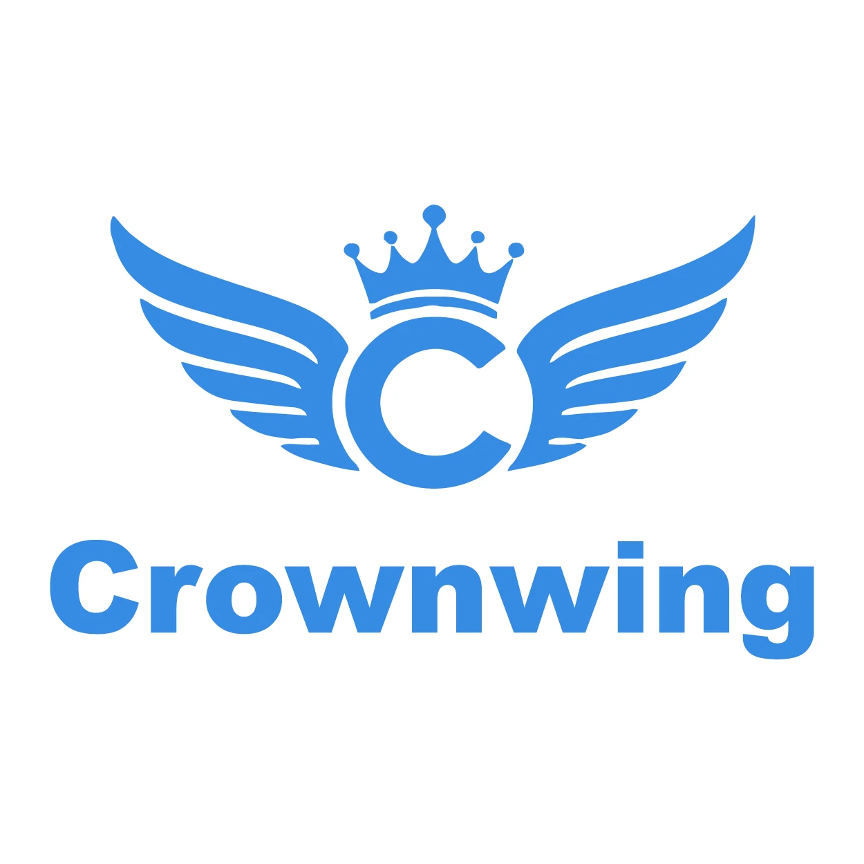 Kaiwang Huifeng International Trade (Shanghai) Co., Ltd. logo