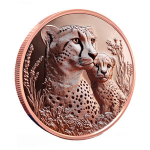 Toptan 1oz saf 999 ince bakır 3D dünya koruma hayvan sikke çita yüksek kabartma yuvarlak hatıra yaban hayatı için yuvarlak - Product Image 2