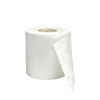 Papier toilette en rouleau personnalisé, imprimé, bon marché, bio, 2/3/4 couches, papier toilette doux, 48 rouleaux, papiers toilette