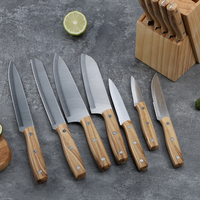 Ensemble de 13 couteaux de chef professionnels ambidextres en acier inoxydable, lavables au lave-vaisselle, durables, finition satinée, manche en PP, avec support
