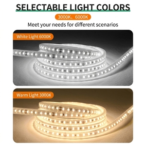 Bande lumineuse <span class=keywords><strong>LED</strong></span> <span class=keywords><strong>solaire</strong></span> étanche à contrôle intelligent, double température de couleur pour éclairage <span class=keywords><strong>extérieur</strong></span>, idéale pour les gîtes, alimentée par énergie <span class=keywords><strong>solaire</strong></span> - Product Image 2