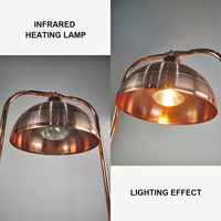 Ensemble chauffe-plats moderne en acier inoxydable pour restaurant, buffet et traiteur, avec chafing dish rose doré et lampe chauffante