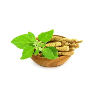 Withania Somnifera Extracto Ashwagandha Raíz Polvo 2.5% / 5% / 10% Withanolides India Proveedor - Product Image 4