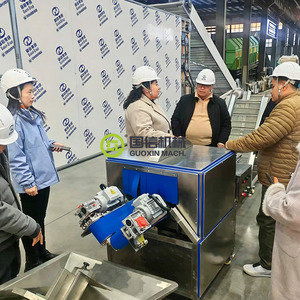Máquina de Secado Industrial con Cinta Transportadora de Malla para Mango, Máquina de Proceso de Secado de Rodajas de Mango, Planta de Secado de Mango, Máquina para Mango Seco - Product Image 4