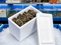 Boîte en mousse de polystyrène pour aliments froids, glace sèche, transport médical, fruits, poissons, légumes et viandes