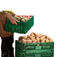 Récipient pliable recyclable Conteneur en plastique pliable de style maille de caisse de ferme de crabe de coquille souple pour l'agriculture