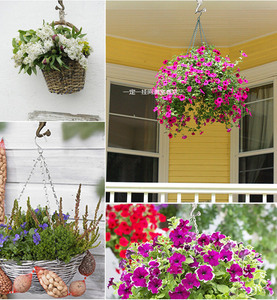 Gancho de Metal Reforçado para Lustre de Teto para Pendurar Plantas e Iluminação Decorativa Moderna Multiuso para Interiores - Product Image 6