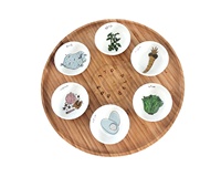 Assiette à Seder de luxe en mélamine, Design coloré de qualité supérieure pour enfants taille 9 pouces