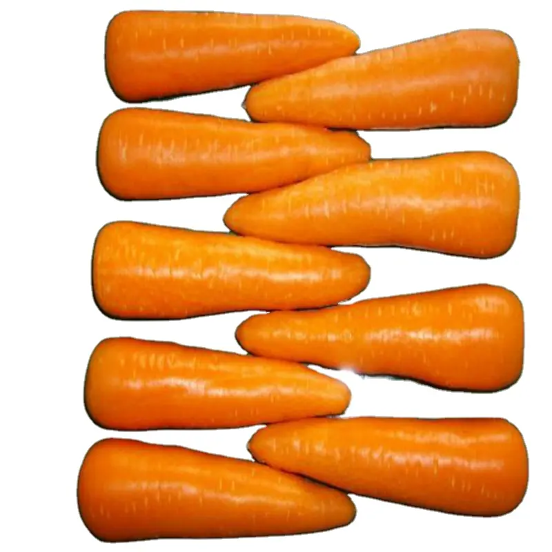 Wholesale fresh carrots in China