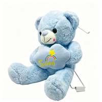 Ours en peluche bleu avec motif nuage ensoleillé et arc-en-ciel brodé, éclairage LED rechargeable par USB, 51cm-99cm, animal en peluche unisexe
