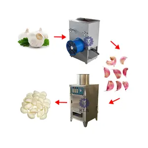 KLS Automatic Dried Garlic Peeling Equipment Garlic Clove Separator Garlic Processing Plant