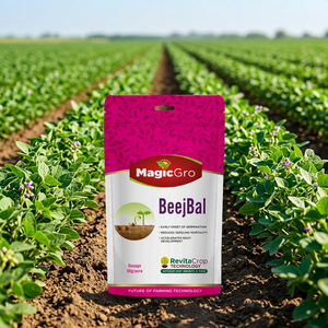 MagicGro BeejBal 50g/Acre, améliorateur de germination des graines, consortia microbien, technologie RevitaCrop pour un développement plus rapide des racines - Product Image 2