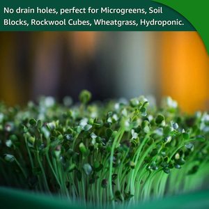 1020 Khay Thêm Sức Mạnh 72 Tế Bào Hạt Giống Nảy Mầm Khay Với Nhân Bản <span class=keywords><strong>Dome</strong></span> Để Bán - Product Image 6