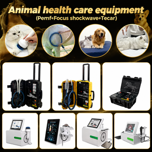 Máquina de Terapia Magnética Tecar No Invasiva a Precio de Fábrica, Relajación Muscular, Máquina de Terapia Magnética Pemf para Clínica <span class=keywords><strong>Veterinaria</strong></span> - Product Image 6
