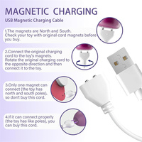 Cargador para Juguetes Sexuales, Cable de Carga USB a DC de 18 mm, Cables de Carga Magnéticos de 6 mm/12 mm, Repuesto para Masajeadores y Otros Juguetes para Adultos