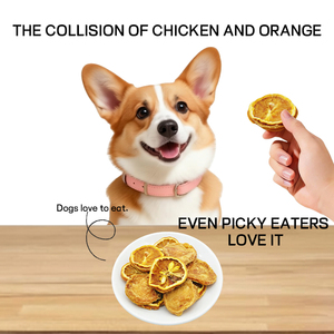 OEM ODM Bocadillos para Perros y Gatos de Pollo y <span class=keywords><strong>Naranja</strong></span> HALAL de Alta Calidad Hechos con Carne, <span class=keywords><strong>Golosinas</strong></span> Completas para Perros - Product Image 3