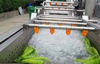 Professionele Sus304 aardappel-, cassave- en wortel-fritesverwerkingsinstallatie en oesterwasmachine