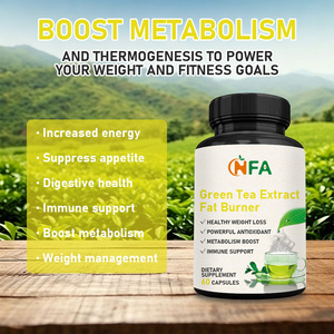Cápsulas Quemagrasas con Extracto de Té Verde OEM ODM, con Té Verde para Apoyar la Pérdida de Peso, Antioxidante, Inmunitario, Metabolismo, Supresor del Apetito - Product Image 5