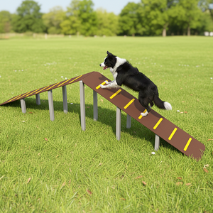 Equipo Profesional <span class=keywords><strong>de</strong></span> Agilidad Canina Tipo A para Parques <span class=keywords><strong>de</strong></span> Slalom al Aire Libre - Precio Mayorista - Product Image 1