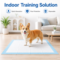 Tapis d'apprentissage jetables pour animaux de compagnie, super absorbants, anti-fuites, pour chiens, avec logo personnalisé, tailles variées, vente en gros