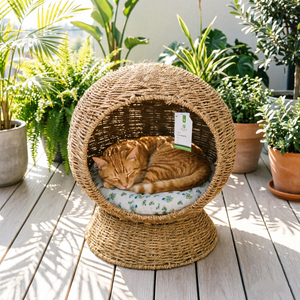 <span class=keywords><strong>Lit</strong></span> pour chat en corde <span class=keywords><strong>de</strong></span> paille fait main, écologique, nid pour animaux <span class=keywords><strong>de</strong></span> compagnie, panier <span class=keywords><strong>de</strong></span> couchage naturel pour chaton avec coussin - Product Image 1
