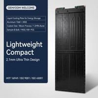 Plaque froide liquide en aluminium soufflé certifiée IATF16949 ISO9001 pour le refroidissement des batteries ESS, fournisseur OEM ODM