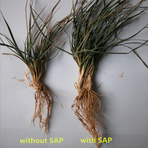 Générateur de plantes pour jardinage, Hydrogel en Polyacrylate - Product Image 3