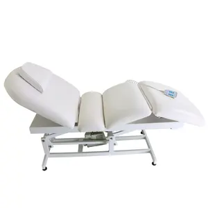 Spa Massage Bed Facial Bed Better Portable Electric Lifting Manicure Bed Chair Beauty Salon