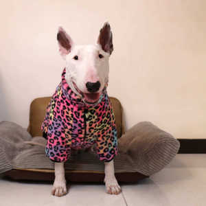 <span class=keywords><strong>Abrigo</strong></span> <span class=keywords><strong>para</strong></span> Perro con Estampado de Leopardo y Tinte Anudado, Ropa de Invierno <span class=keywords><strong>para</strong></span> Mascotas, <span class=keywords><strong>para</strong></span> Bulldog <span class=keywords><strong>Labrador</strong></span> - Product Image 6