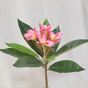 Nouvelle arrivée : Fleur de <span class=keywords><strong>Plumeria</strong></span> imprimée en 3D réaliste avec tige flexible - <span class=keywords><strong>Plante</strong></span> artificielle au toucher réel pour vase, centre de table - Product Image 4