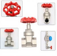 Válvulas de Compuerta Roscadas de Sellado Suave de Acero Inoxidable 304/316 para Altas Temperaturas, Manuales de Fábrica, para Herramientas HVAC