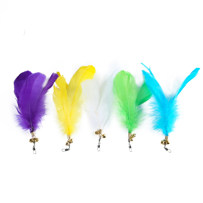Coloré 4