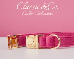 Ensemble collier et laisse pour chien en velours uni personnalisé avec nom d'animal gravé, clochette et nœud en velours pêche, livraison gratuite - Product Image 5