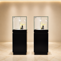 Vitrine de musée sur piétement noir brillant, vitrine sans cadre en verre trempé, éclairage chromé, présentoir minimaliste pour bijoux