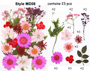 ดอกไม้แห้งอัดเม็ดหลากสีสันสำหรับงานสมุดภาพ การทำการ์ด และงานฝีมือ ตกแต่งเคสมือถือ กรอบรูป - Product Image 4