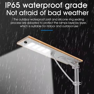 Prix d'usine 150W/200W Système de lampadaire solaire en aluminium Nouveau blanc chaud décoratif avec batterie au lithium - Product Image 6