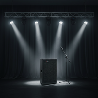 Système de sonorisation Line Array professionnel Seer T-8, enceinte passive avec sortie 200W RMS, woofer 8 pouces et tweeter 2 pouces, boîtier en contreplaqué de bouleau