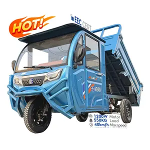 LB-QFB180 Táxi elétrico de 3 rodas/triciclo de passageiros de cabine fechada Tuk Tuk/Zongshen Fabricante de triciclos elétricos