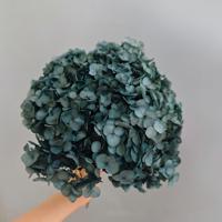 Fleurs d'hortensia séchées Anna en gros, hortensia blanc pur, bouquet de fleurs de mariage, grand bouquet d'hortensia préservé pour la décoration d'événements