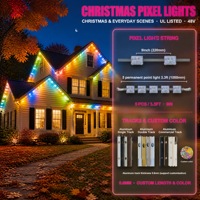 Controlador de Aplicaciones Programable, Luces Navideñas LED RGB RGBW de 48 V, 6 LED, para Exteriores, Resistentes al Agua IP68, Luces Puntuales Permanentes para Exteriores