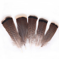Venta al por mayor de plumas de cola de pavo naturales de 6-8 pulgadas decoraciones superventas fabricante superior chino envío rápido patrón lavado
