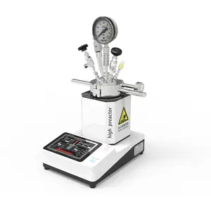 200Ml Magnetic Stirrerแรงดันสูงห้องปฏิบัติการเคมีReactor Parr Autoclave